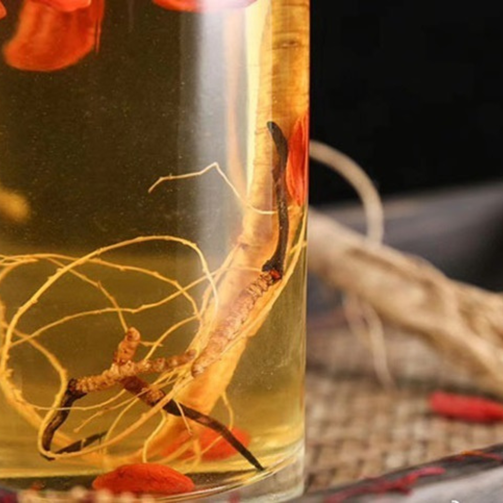 Đông trùng hạ thảo ngâm với sâm có được không?